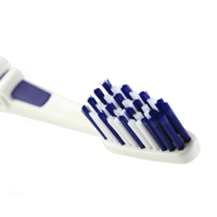 Brosse à dents en vente à La Demeure des Hôtes